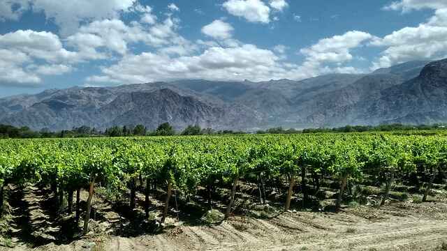 Airbnb Argentina: Descubra Mendoza, o Destino Perfeito para Brasileiros